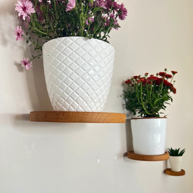 Floating Wood Plant Shelf for Mounted Wall, Round Shelf set of 3
